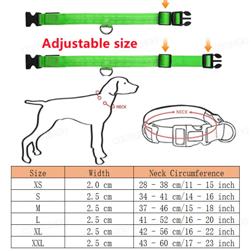 SwiftHaven LED dog collar with 3 lighting modes