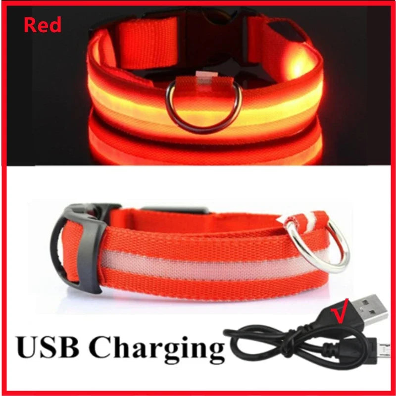 SwiftHaven LED dog collar colour options