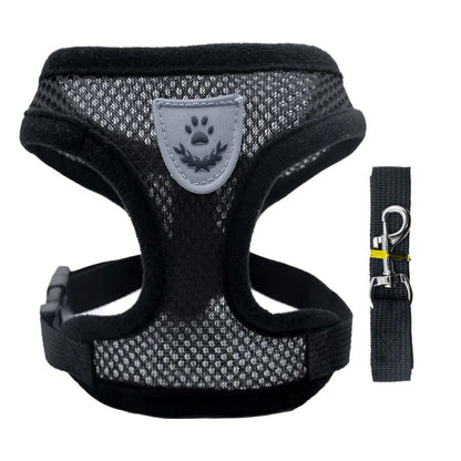 SwiftHaven dog vest harness on a walk