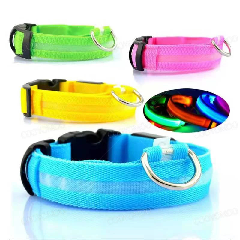 SwiftHaven USB LED dog collar for night safety