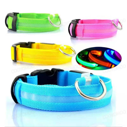 SwiftHaven USB LED dog collar for night safety