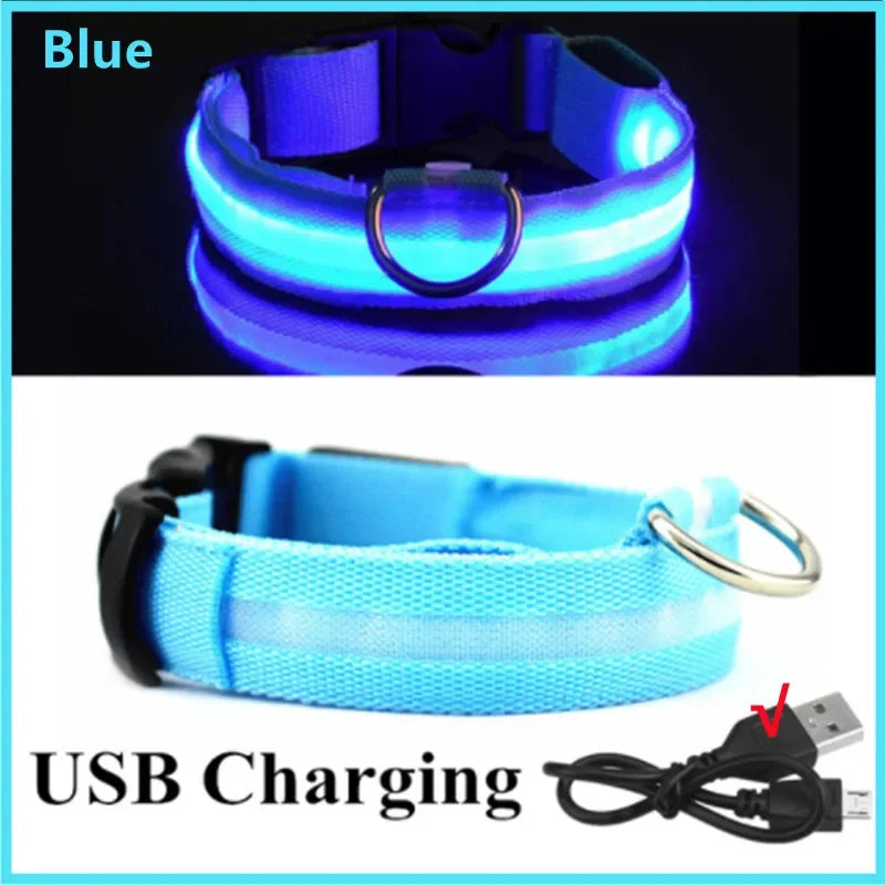 SwiftHaven detachable LED dog collar detail