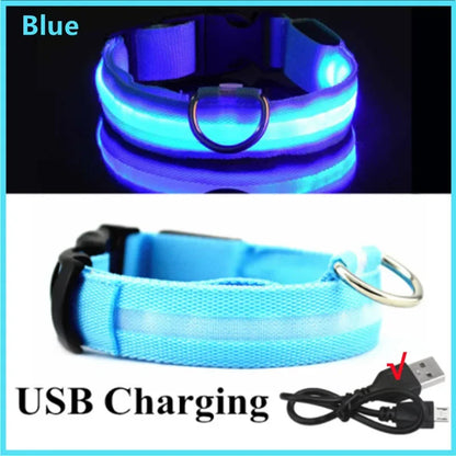 SwiftHaven detachable LED dog collar detail
