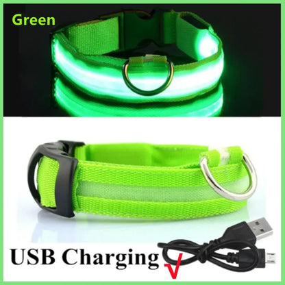 SwiftHaven LED collar worn by a dog