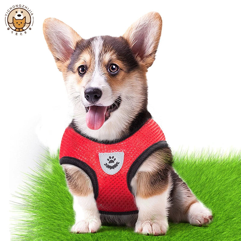 SwiftHaven adjustable dog walking harness