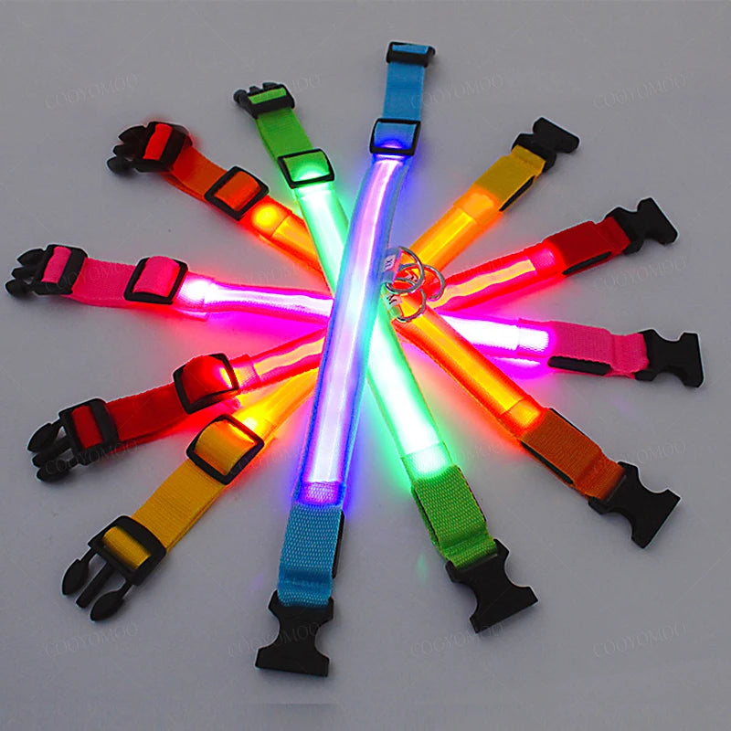 SwiftHaven rechargeable glowing dog collar