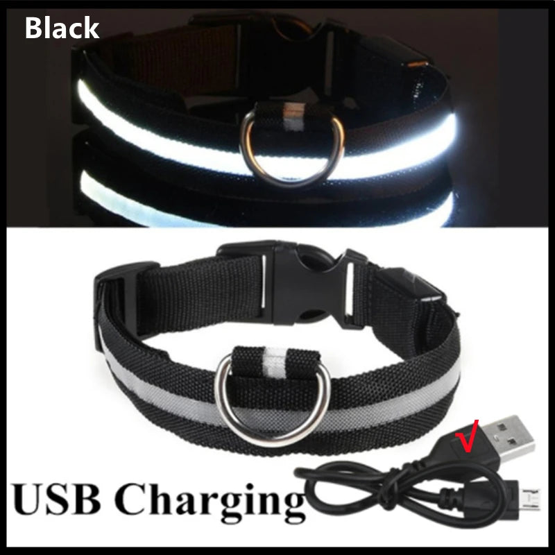 SwiftHaven LED light-up dog collar additional view