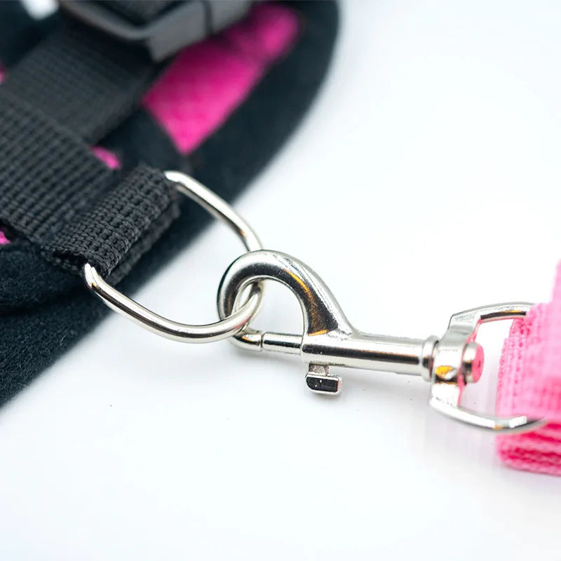 SwiftHaven adjustable harness worn by a dog