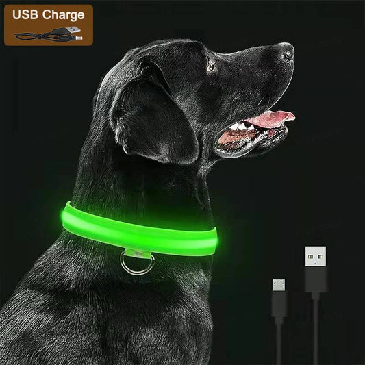 SwiftHaven LED light-up dog collar - main product photo
